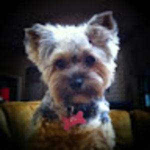 Meet your Posher, Lisa